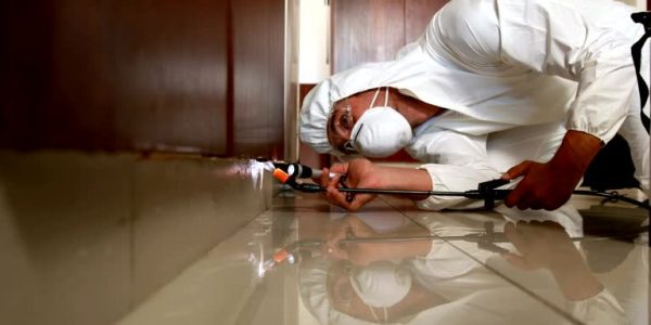 PestFreeMike Expert Pest Control Solutions You Can Trust