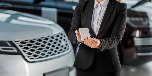 Safe & Efficient Tree Cutting Services in Auburn