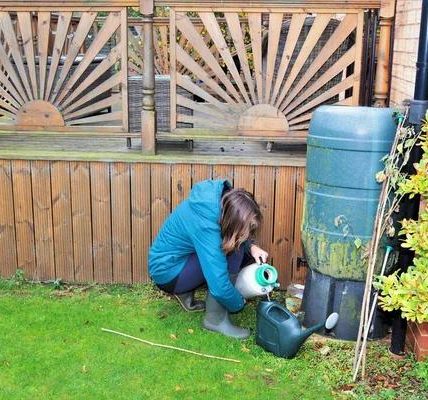 Complete Lawn Care Services with Expert Maintenance Plans