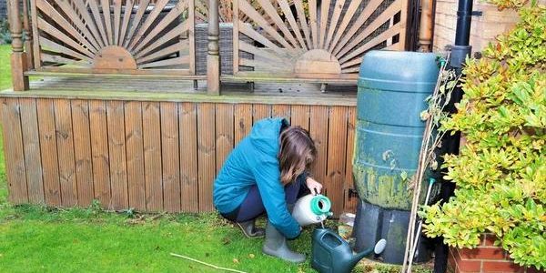 Complete Lawn Care Services with Expert Maintenance Plans